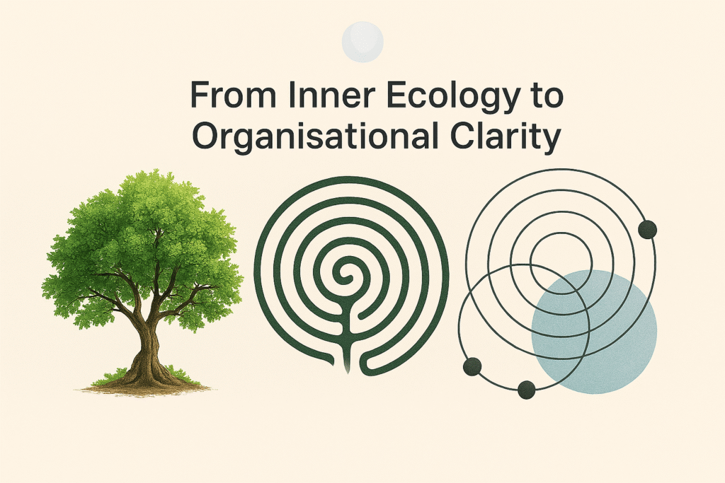 From Inner Ecology to Organisational Clarity